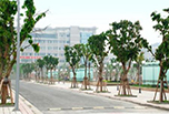眉山職業(yè)學(xué)校有哪些—眉山職業(yè)技術(shù)學(xué)院