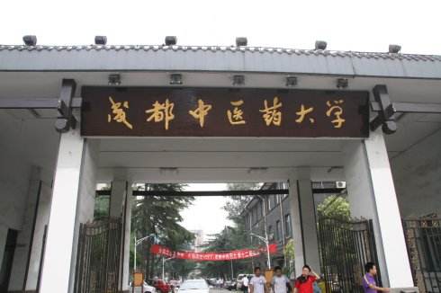 2019年藏醫學專業學校排名
