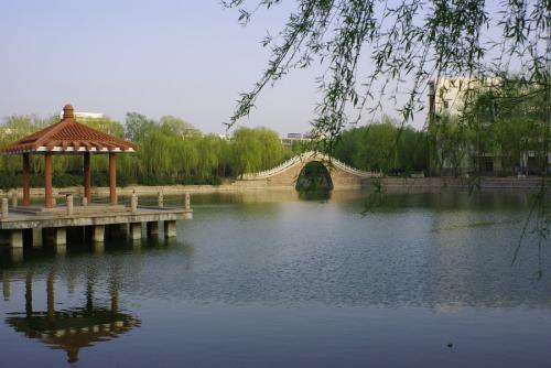 成都學院（成都大學）醫(yī)護學院2019年招生簡章