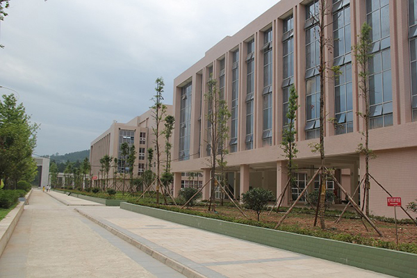 職業(yè)高中