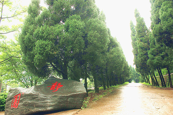 職業(yè)中學有哪些