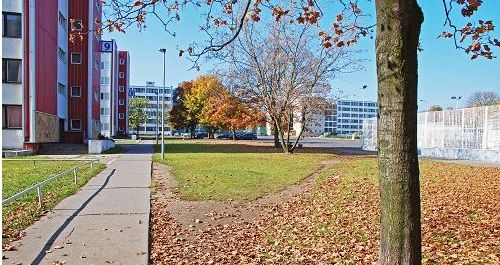 大學生